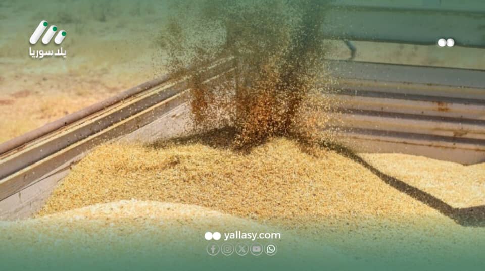 تحقيقات تفضح فساداً واسعاً زمن النظام البائد